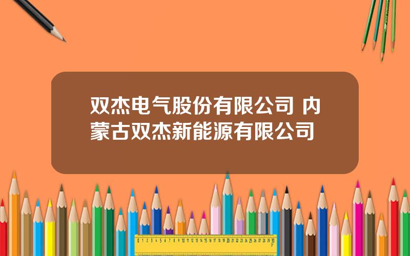 双杰电气股份有限公司 内蒙古双杰新能源有限公司